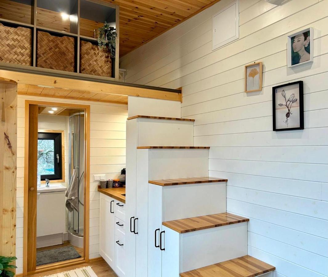Villa Tiny House With Garden And Jacuzzi Near Amsterdam à Vijfhuizen Extérieur photo